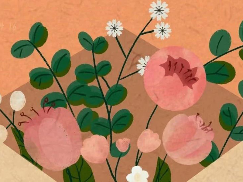 Uma carta para a família de Jufeng