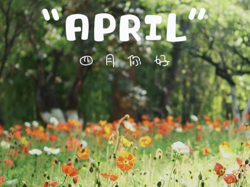 Desejos de aniversário丨Feliz aniversário para quem nasceu em abril